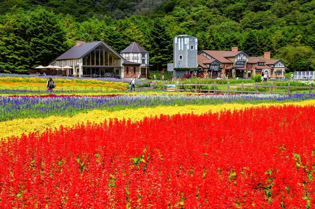 LINE_ALBUM_Rainbow Flower Festival_230825_11_0