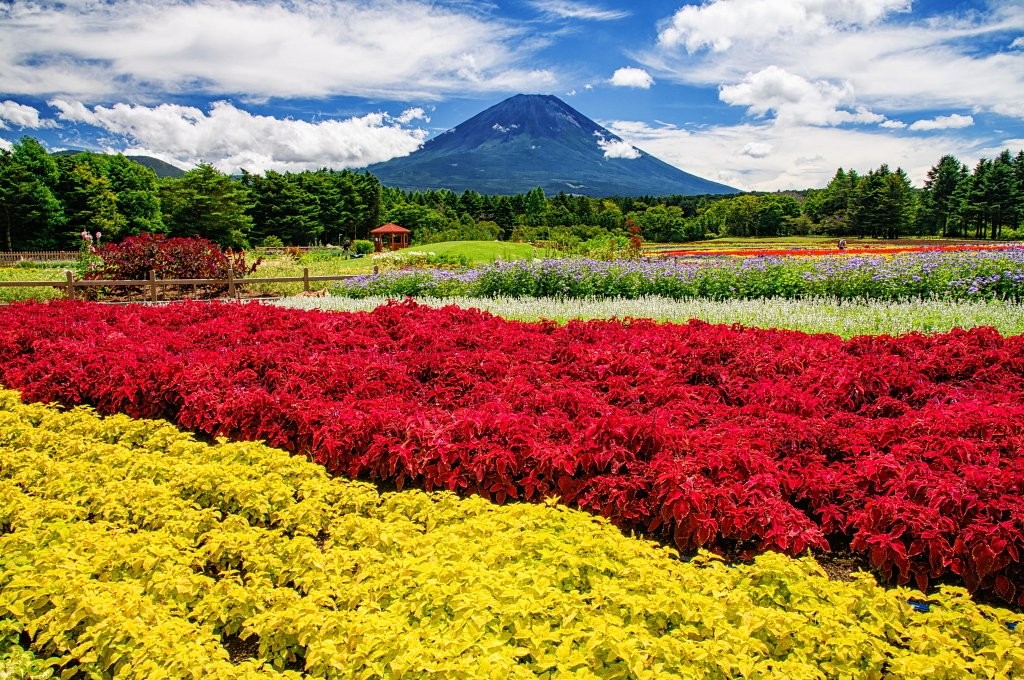 LINE_ALBUM_Rainbow Flower Festival_230825_15_0