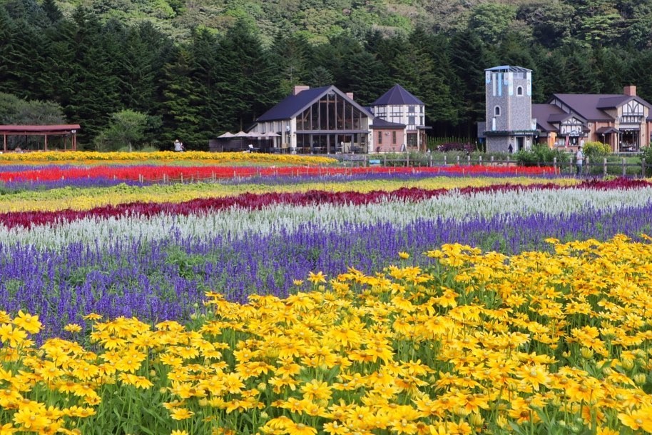 LINE_ALBUM_Rainbow Flower Festival_230825_8_0