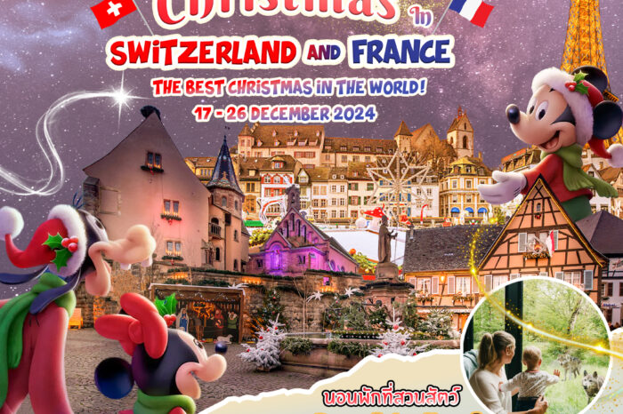 Magical christmas in switzerland and france 17-26 Dec 2024