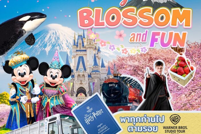 Fuji Blossom and Fun 9-15 April 2025