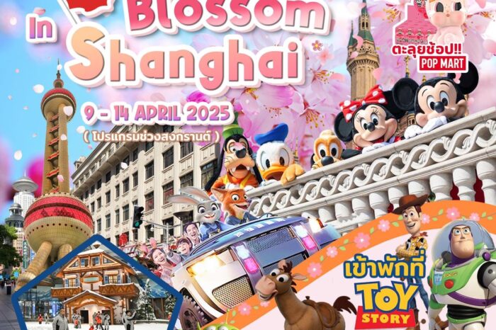 Wonderful Blossom in Shanghai 9-14 Apr 2025